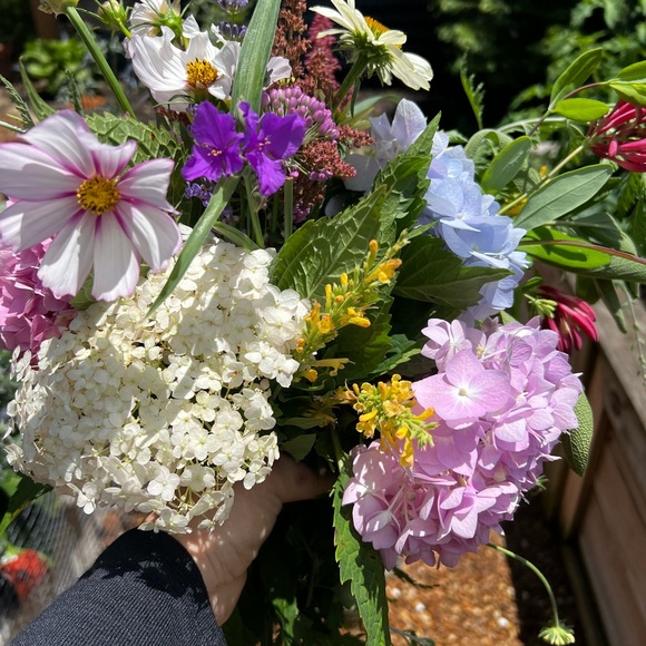 Meet your Posher, Kelli - Picture 7 of 9